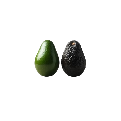 IGAVOCADO - Delightfully Tasty